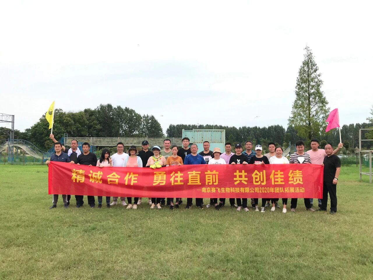 赛飞团建