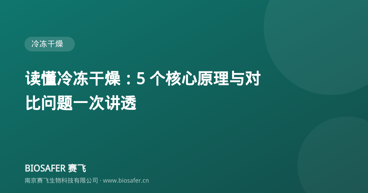 南京赛飞 读懂冷冻干燥:5 个核心原理与对比问题一次讲透